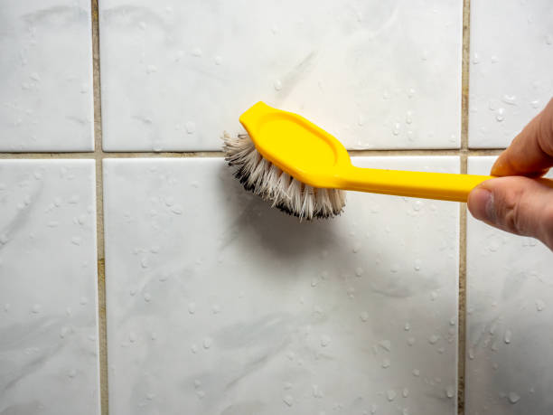 Best Residential Mold Removal  in Rutherford College, NC
