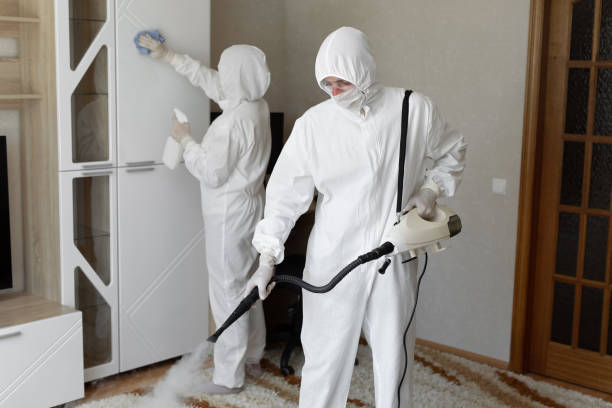 Best Residential Mold Removal  in Rutherford College, NC