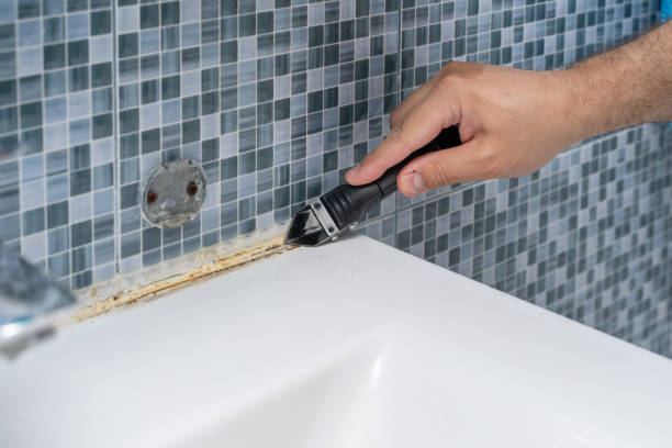 Best Mold Damage Repair  in Rutherford College, NC